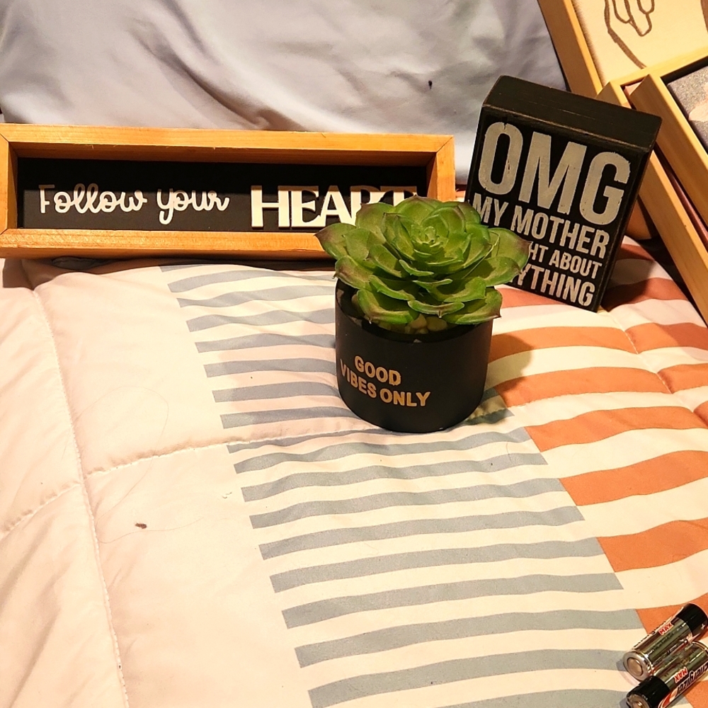 Home decor set,  2 signs and one decorative faux succulent and container.